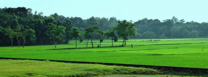 Bangladesh View 1