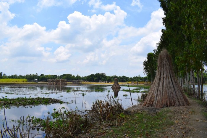 Bangladesh View 3