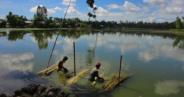 Bangladesh View 5