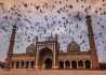 Jama-Masjid