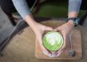 Matcha Tea
