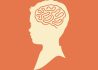 kids-brains-1